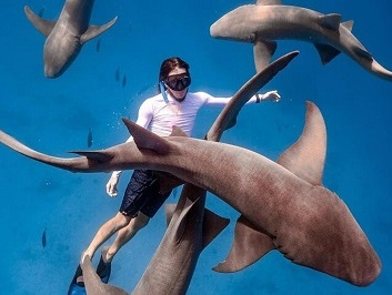 Hanifaru Bay – Manta Rays & Whale Sharks